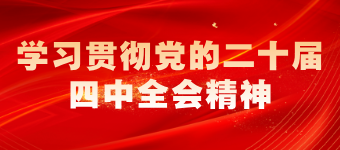 学习贯彻党的二十届四中全会精神